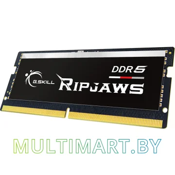 Оперативная память G.Skill Ripjaws 32GB DDR5 SODIMM PC5-44800 (F5-5600S4040A32GX1-RS) картинка 3